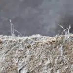 smaltire amianto