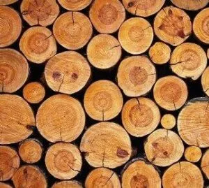 legno legno