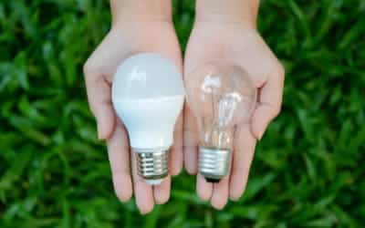 Smaltimento Neon e Lampadine Esausti Vernio