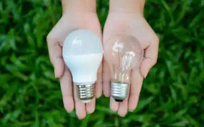 Gestione e Smaltimento Neon e Lampadine Esausti Colleferro