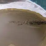 Liquame