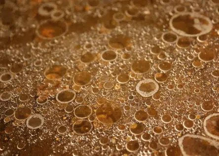 Gestione e Smaltimento Olio Esausto Dello